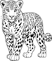 Leopard Hand Drawn Realistic Detailed Coloring Book Animal Illustrations