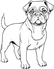 Pug Dog Hand Drawn Realistic Detailed Coloring Book Animal Illustrations