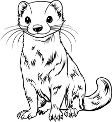 Weasel Hand Drawn Realistic Detailed Coloring Book Animal Illustrations