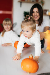 Fototapeta premium family prepares pumpkins for Halloween. Photo on a light background of a happy family surrounded by pumpkins. Parents help children