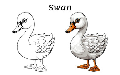 Swan Cute Animal Coloring Book Hand Drawn Illustration for kids