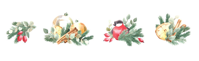 set of watercolor illustrations of fir and eucalyptus branches, Christmas tree decorations, cinnamon and candied fruits, winter berries and birds