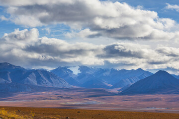 Autumn in polar tundra