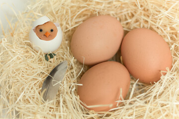 Handmade toy, chicken. Close-up of a handmade toy chicken on a background of eggs. Copy space
