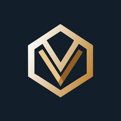Letter V Logo 