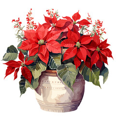 Poinsettia in Pottery