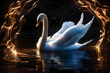 Foto op Aluminium swans on the lake © غادة شحود