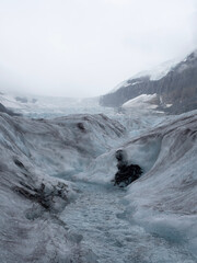 glacier river Athabasca glacier