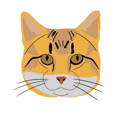 cat Head cartoon Illustration