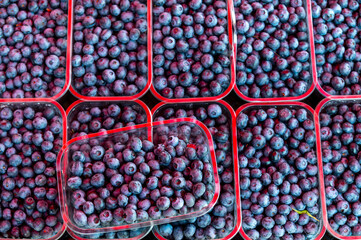 blueberry in plastic box on display fresh food market