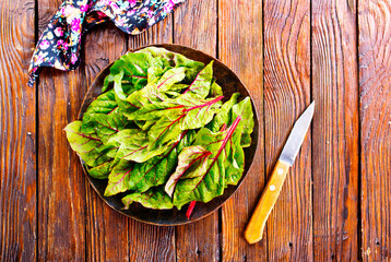 Healthy salad, leaves salad on plate