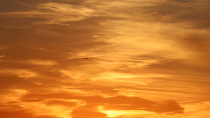 Plane in the sunset