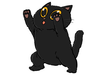 Black cat Posture