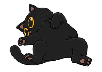Black cat Posture