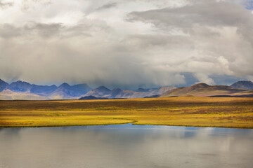 Autumn in polar tundra