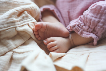 Cute baby feet of a newborn