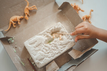 An interesting activity for children: excavating dinosaurs,
