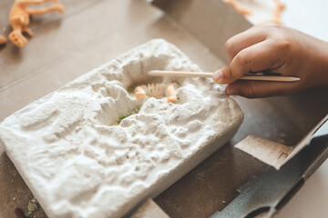 An interesting activity for children: excavating dinosaurs,