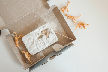 An interesting activity for children: excavating dinosaurs,
