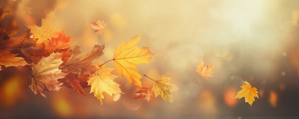 Naklejka na ściany i meble Close-up of orange autumn leaves