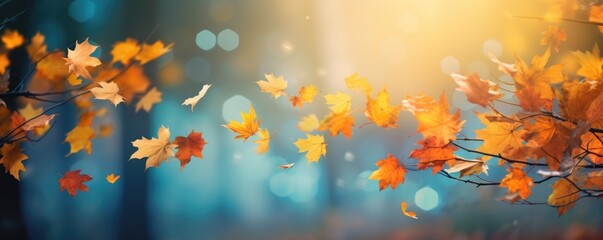 Naklejka na ściany i meble Close-up of orange autumn leaves in a forest