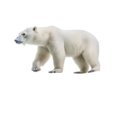 Foto op Canvas polar bear isolated on white background © I LOVE PNG