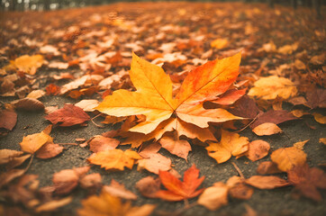 Naklejka na ściany i meble Stylishly Captured Autumn Foliage in Diverse Styles - Vibrant and Unique Backgrounds for Creative Projects