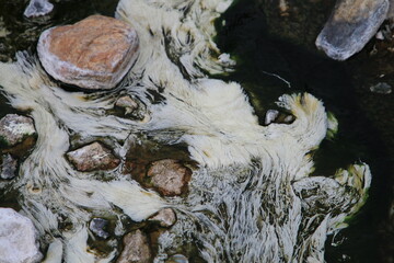 Algae in Hot Springs and fog in Chae Son National Park, Lampang, Thailand, Natural Mineral Water.
