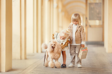 Girl and boy in stylish clothes with poodle on beige background 