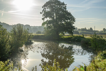 Morgenstimmung an der Aa im Münsterland