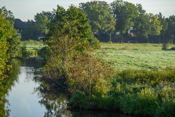Morgenstimmung an der Aa im Münsterland