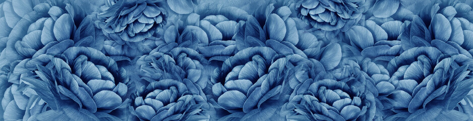 Obraz premium Floral spring background. Petals blue flowers. Close-up. Nature.