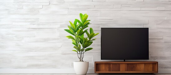 Houseplant next to TV in fancy room with marble wall and wooden floor With copyspace for text