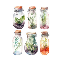 6 herb plant glass bottles watercolor isolated png - obrazy, fototapety, plakaty