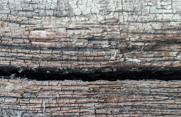 Wood surfaces showing planks and wooden walls