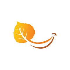 leaf logo , nature logo vector