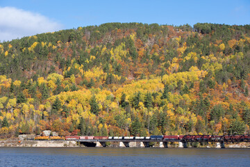 Train Bridge Fall Colours 4