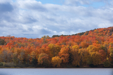 Autumn Trees lake blue sky