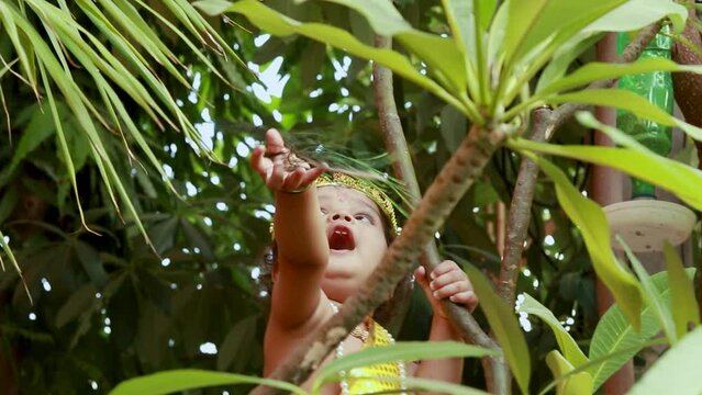 adorable infant dressed as hindu god krishna cute facial expression playing at tree at janmashtami