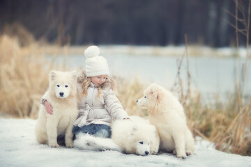 Small girl  with white dogs samoyed in winter park