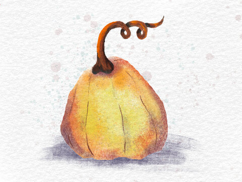 pumpkin on a wooden background