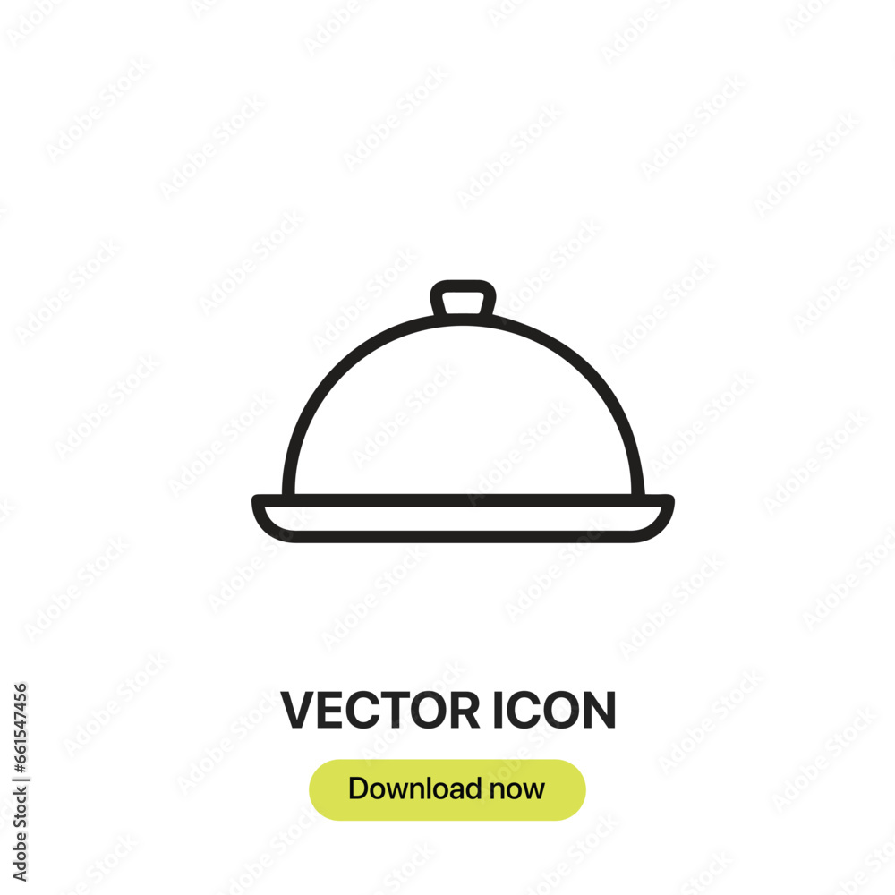 Poster food tray icon vector. linear-style sign for mobile concept and web design. food tray symbol illustr