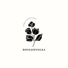 Flat vector bougainvillea flower illustration - obrazy, fototapety, plakaty