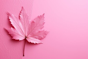 Pink leaf on pink backdrop. Generative AI