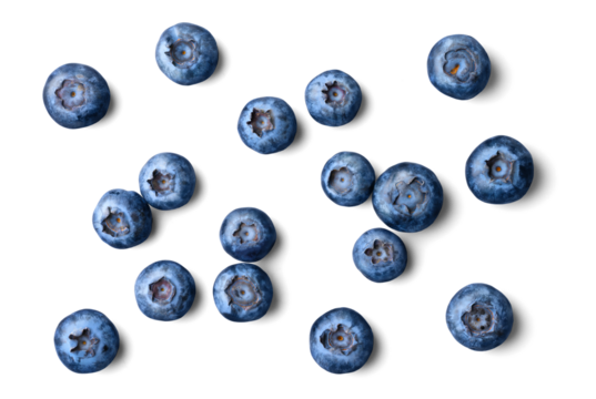 Group of fresh blueberries isolated on white background. Top view