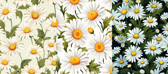 daisy flowers Illustration. generative ai