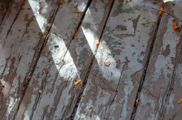 Sunlight on old painted wood porch. Concept of nostalgia.