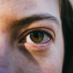 Brown eye looking into the camera