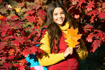 positive kid with backpack on autumn leaves background