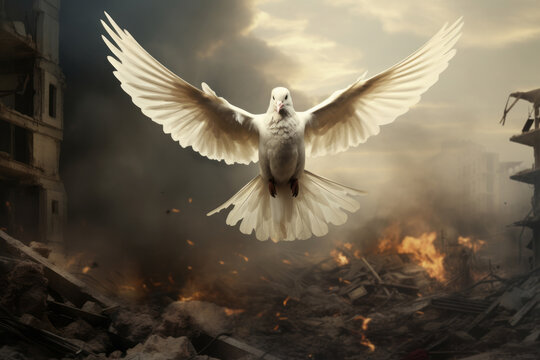 A white peace dove flying through a city war zone during a conflict